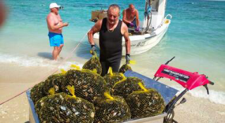 Ancona – Il M5S sul mosciolo selvatico: “I pescatori non hanno responsabilità”